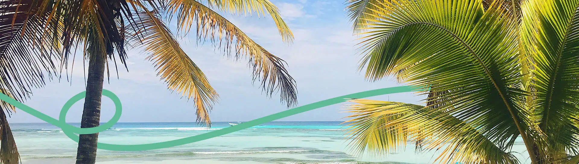 Palmy na pláži v Karibiku